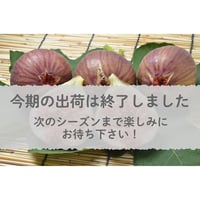 【愛知県安城市/碧南市産他】露地いちじく　◎4パック入箱