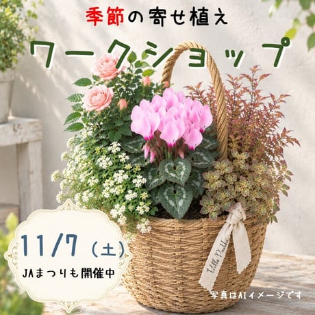 【令和8年11月7日(土)開催】”碧海そだち”『季節の寄せ植えワークショップ』