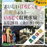 【令和8年8月28日（金）開催】”碧海そだち”『おいしいいちじくを見極めよう！いちじく収穫体験』