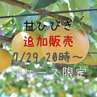 ★追加販売　【愛知県安城市/刈谷市産】安城梨『甘ひびき』　大玉サイズ・2玉入り