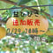 ★追加販売　【愛知県安城市/刈谷市産】安城梨『甘ひびき』　大玉サイズ・2玉入り