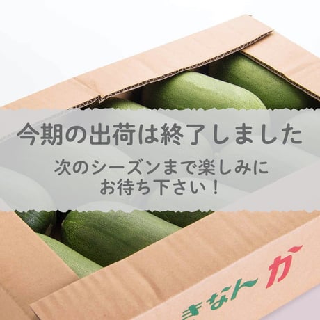 【愛知県碧南市産】早生かりもり　4㎏箱・Ｌサイズ（10～11玉入）【愛知の伝統野菜】