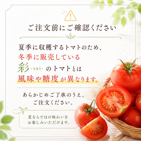 【限定】彩-sai-の夏トマト｜１箱(１箱950ｇ入り)