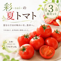 【限定】彩-sai-の夏トマト｜３箱(１箱950ｇ入り)