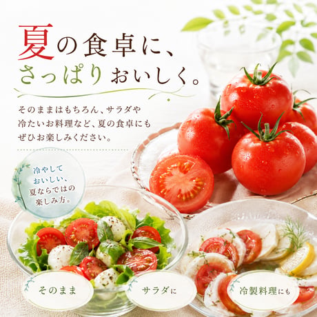 【限定】彩-sai-の夏トマト｜１箱(１箱950ｇ入り)