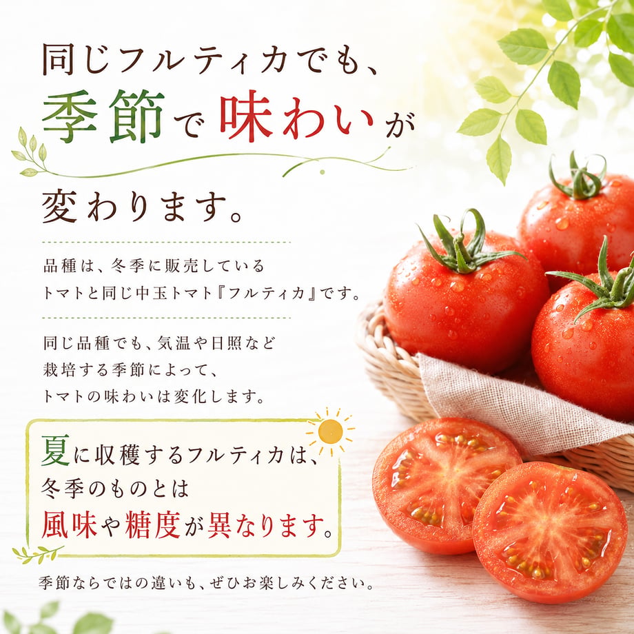 6a42174f4c27e8004404485d