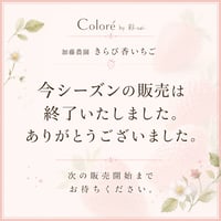 加藤農園｜いちご１箱 (１箱2パック入り 約250g×2) 冷蔵便