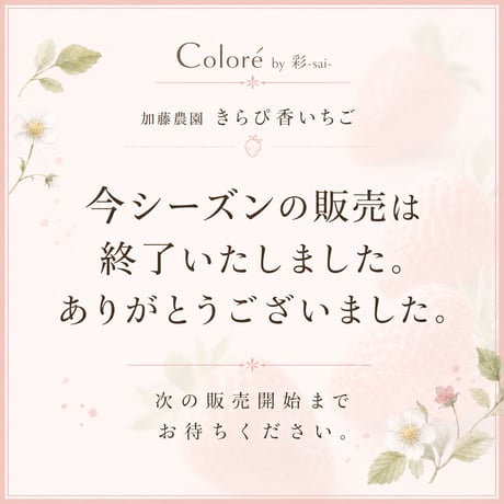 加藤農園｜いちご１箱 (１箱2パック入り 約250g×2) 冷蔵便