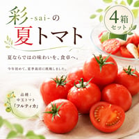 【限定】彩-sai-の夏トマト｜４箱(１箱950ｇ入り)