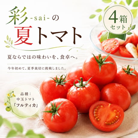 【限定】彩-sai-の夏トマト｜４箱(１箱950ｇ入り)