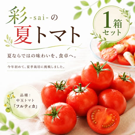 【限定】彩-sai-の夏トマト｜１箱(１箱950ｇ入り)