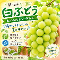 彩-sai-｜【数量限定】白ぶどう ヒムロットシードレス 1箱（約１kg入り）