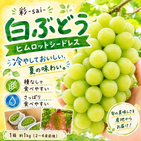 彩-sai-｜【数量限定】白ぶどう ヒムロットシードレス 1箱（約１kg入り）