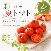 【限定】彩-sai-の夏トマト｜２箱(１箱950ｇ入り)