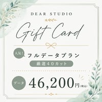 《電子GIFTCARD》 フルデータプラン46,200円