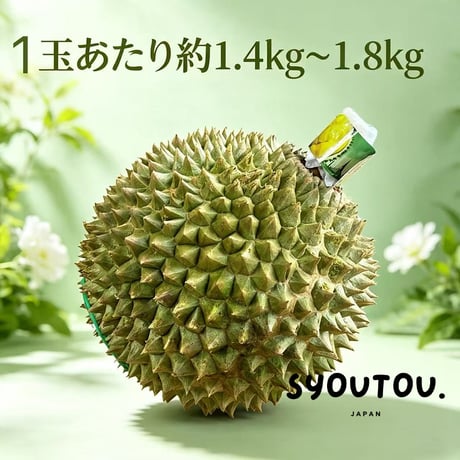 マレーシア産 黑刺 ドリアン D200 品種 1.5～1.8kg S号 生ドリアン ブラックソーン 高級品種 小黑刺 Black Thorn Durian