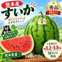 熊本産 煌夏 すいか Ｍ号 5.2~5.8kg  スイカ すいか西瓜 甘い果物 フルーツ
