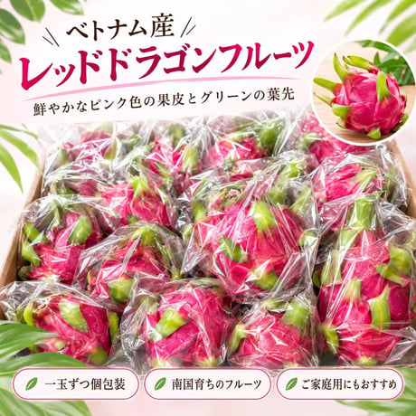 ベトナム産 赤肉ドラゴンフルーツ レッドドラゴンフルーツ ドラゴンフルーツ ピタヤ ピタハヤ 赤肉ピタヤ 南国フルーツ