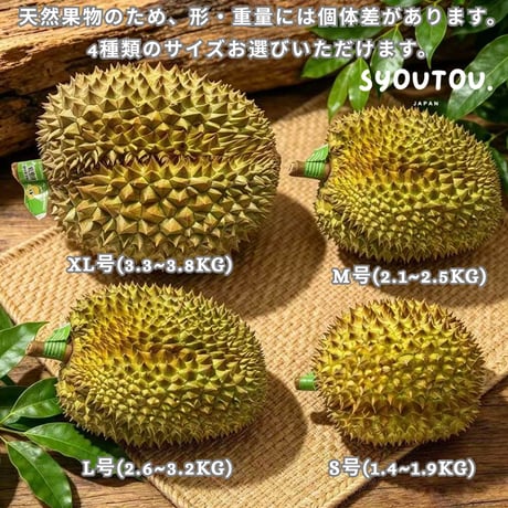 タイ産 金枕 ドリアン 2.6~3.2kg Ｌ号 生ドリアン 金枕 生ドリアン モントーン 新鮮ドリアン Monthong Durian