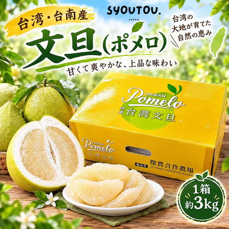 台湾文旦 3kg ポメロ ぶんたん 台湾 台南産 麻豆文旦 柚子 ゆず 柚子 台湾果物 台湾フルーツ 文旦 甘い果物