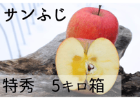 D2 サンふじ 5キロ箱 (11～18玉) 特秀