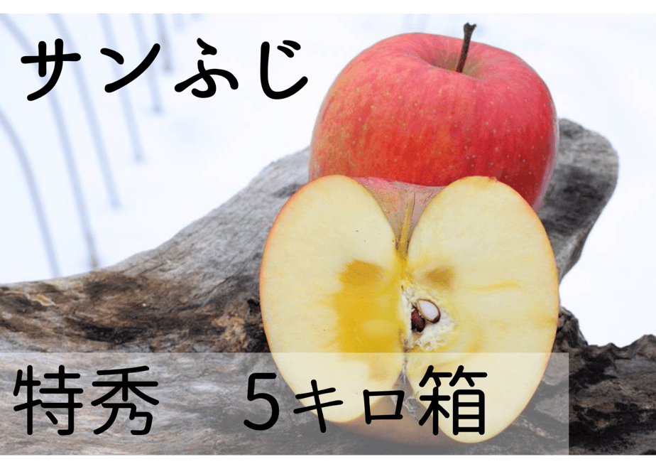 602d5647935fcc1202843fa5