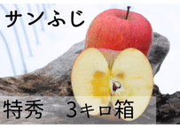 D1 サンふじ 3キロ箱 (7～11玉) 特秀
