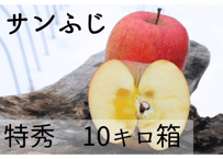 D3 サンふじ 10キロ箱 (24~36玉) 特秀