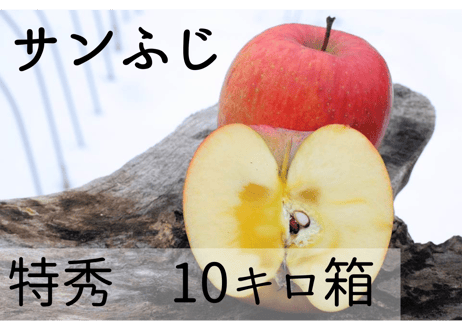 D3 サンふじ 10キロ箱 (24~36玉) 特秀