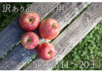 D5 サンふじ  5キロ箱(11～20玉) 家庭用