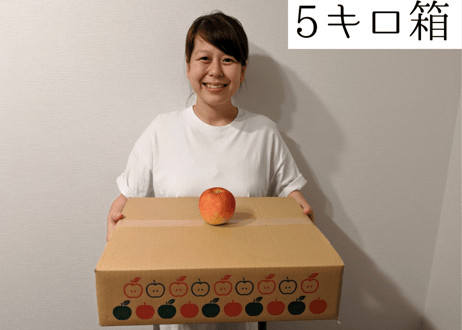 D5 サンふじ  5キロ箱(11～20玉) 家庭用