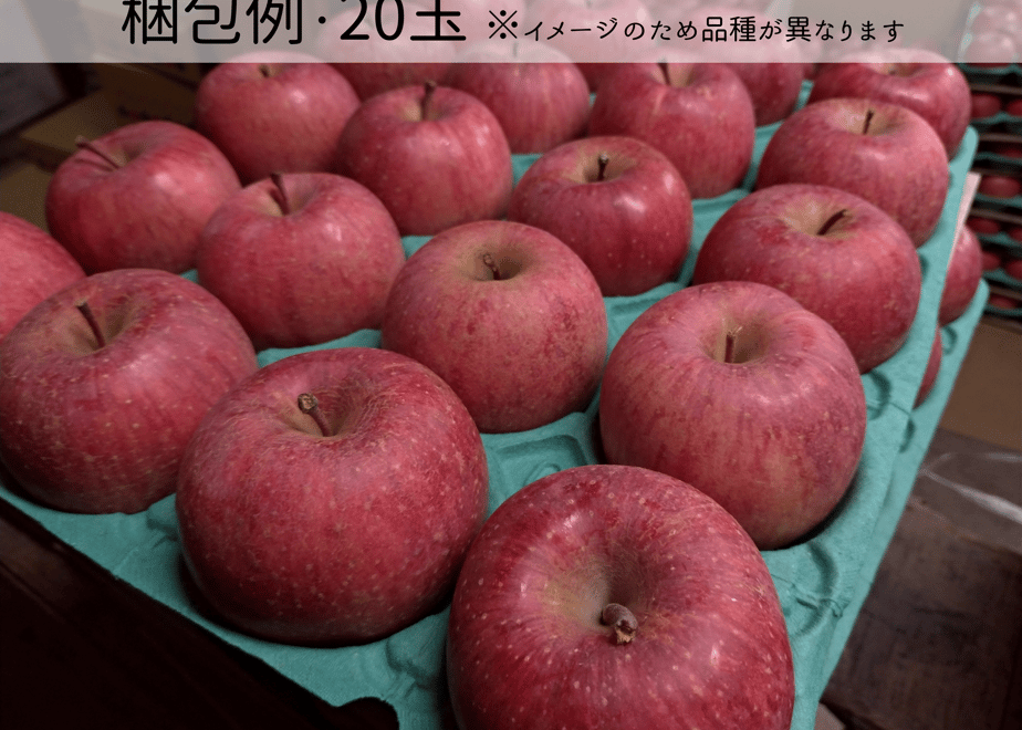 616e94a7f1f39a33b8e2635a
