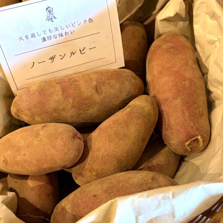 《量》雨土人さんのじゃがいも(土付き)500g〜/山梨県北杜市産