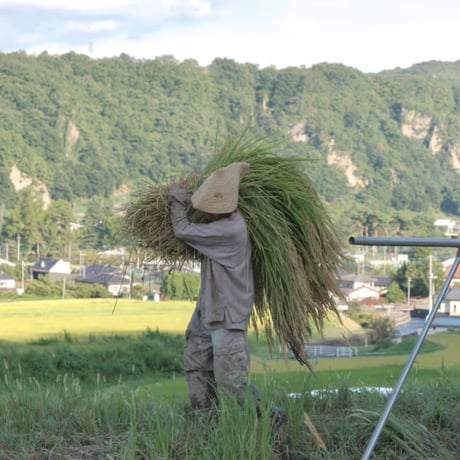 《量》ササシグレの米粉(自然栽培)100g〜/山梨県韮崎市産