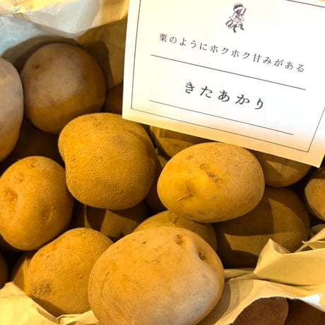 《量》雨土人さんのじゃがいも(土付き)500g〜/山梨県北杜市産