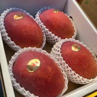 まさし様専用　マンゴー代金