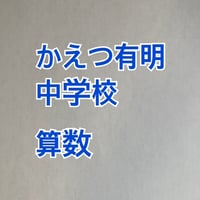 【早割】2027年版　 かえつ有明中学校 　合格算数プリント 【PDF閲覧パスワード】 098k