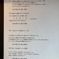 ＜PDF送信＞中学受験算数　面白い過去問プリント：中級レベル 新発売