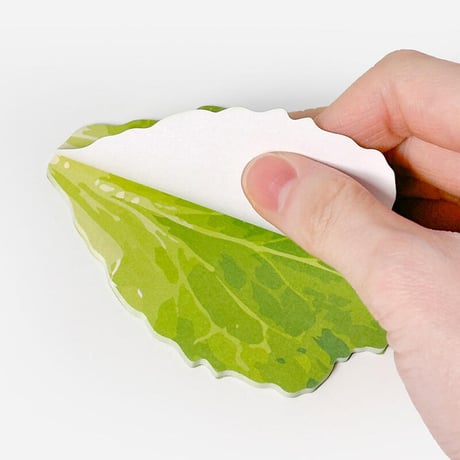 [ランダム]サムギョプサル包み野菜メモセット