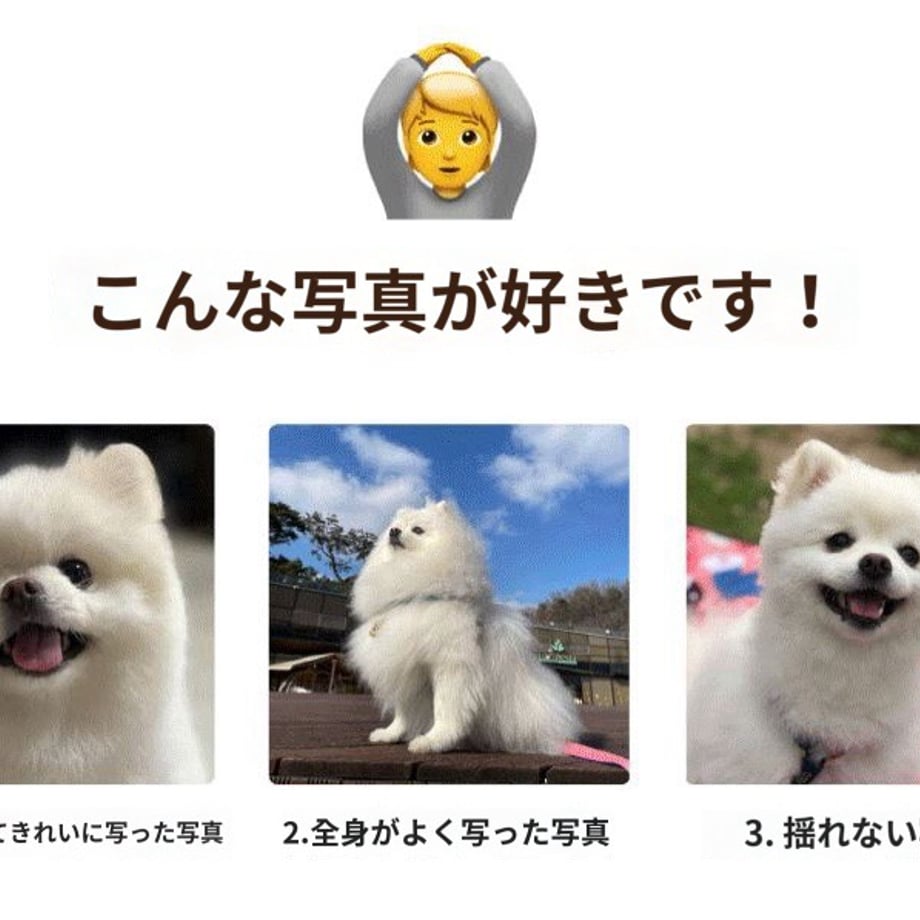 6abf7649a1c1581b2d417a88