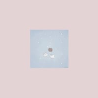 ポストカード   |   流星