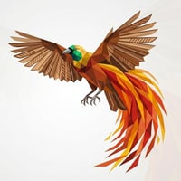 Bird Of Paradise