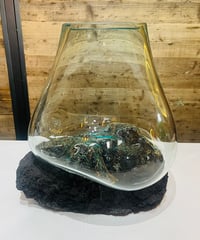 【OUTLET商品 現品商品No.667】ROCK BLACK /XL　ロック ブラック（ガラスにキズ）