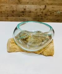 【現品商品No.650】WIDE ワイド / S  Original color