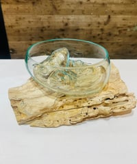 【現品商品No.672】WIDE ワイド / M  Original color