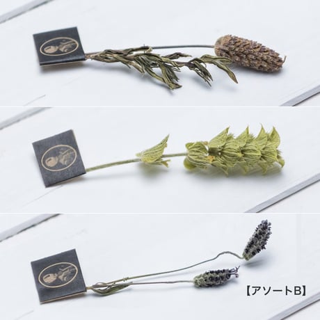 ハーブティー 3本セット [3 stems of Sultan / King]