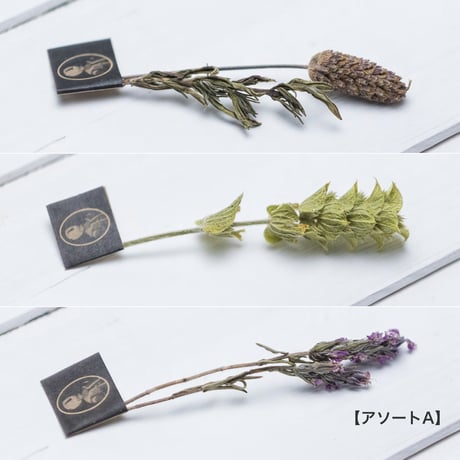 ハーブティー 3本セット [3 stems of Sultan / King]