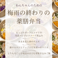 梅雨の終わりの薬膳弁当