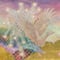 鳳凰雲図  Phoenix Clouds