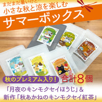 【期間限定！】お得な夏秋サマーボックス【ポスト便】